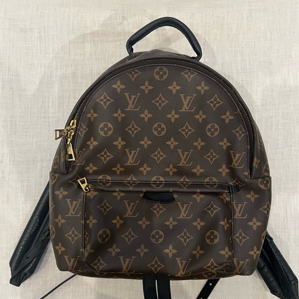 Louis Vuitton PALM SPRINGS MM Backpack - Picture 2 of 13